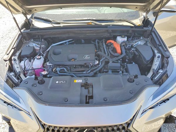 2025 LEXUS NX 350H 350h Premium
