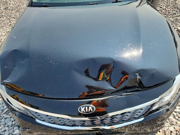 2019 KIA OPTIMA LX, S