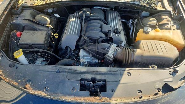 2019 DODGE CHARGER Scat Pack
