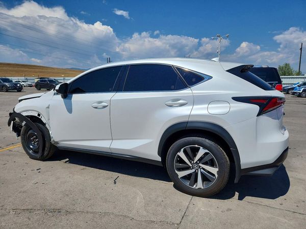 2019 LEXUS NX 300 300 Luxury