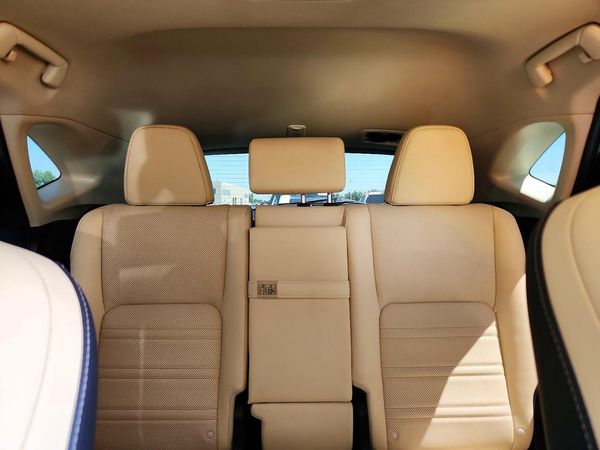 2019 LEXUS NX 300 300 Luxury