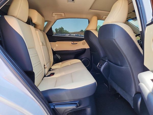 2019 LEXUS NX 300 300 Luxury