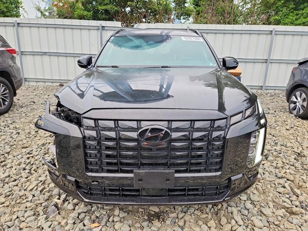 2025 HYUNDAI PALISADE — DIRF