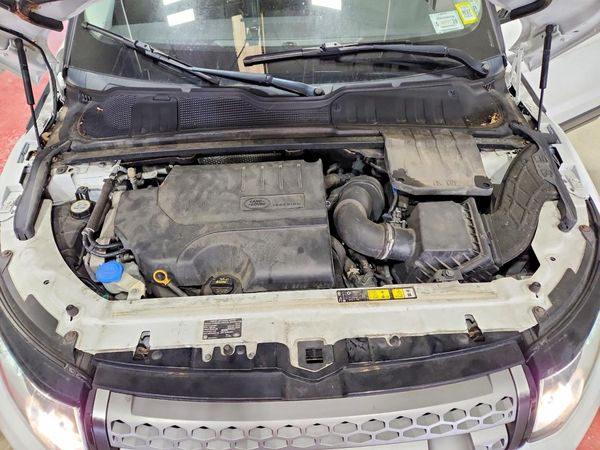 2019 LAND ROVER RANGE ROVER EVOQUE SE/SE Premium