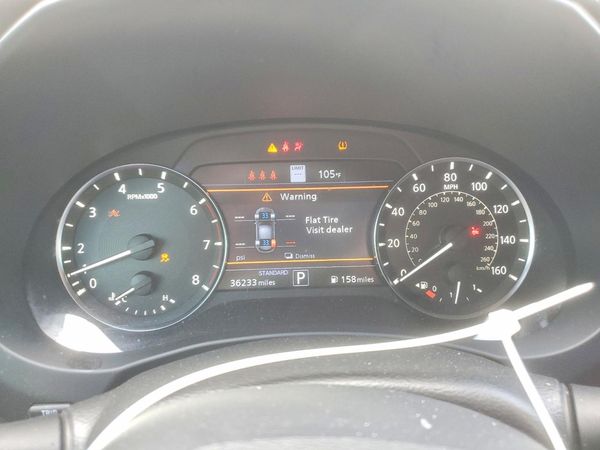 2024 INFINITI QX50 Sport