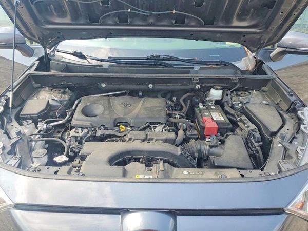2019 TOYOTA RAV4 XLE / XLE Premium 4WD