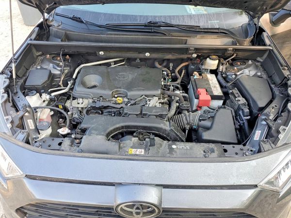 2019 TOYOTA RAV4 XLE / XLE Premium 4WD