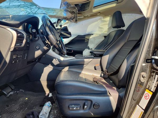 2018 LEXUS NX 300 300 Luxury