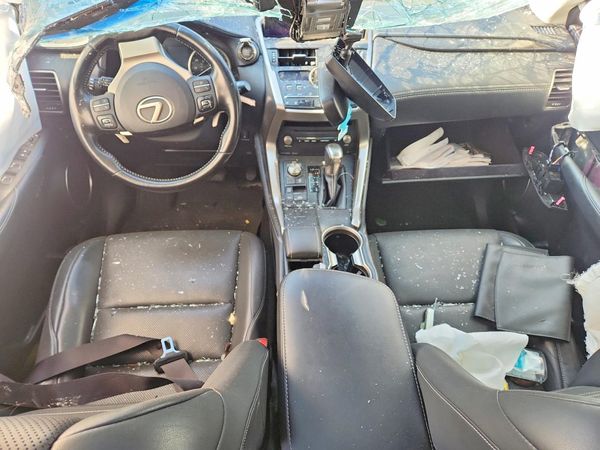 2018 LEXUS NX 300 300 Luxury