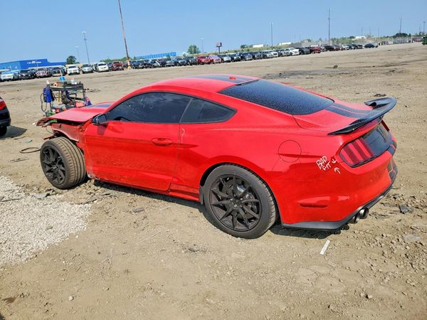 2019 FORD MUSTANG Shelby Coupe