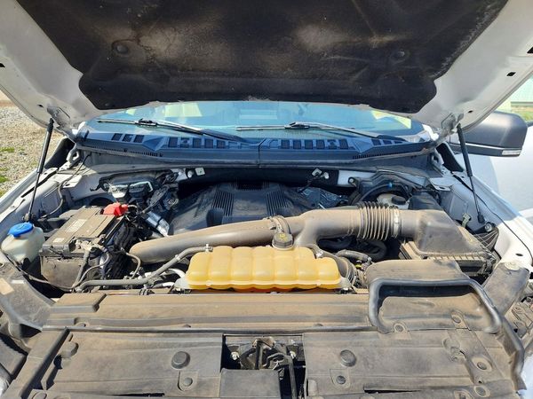 2019 FORD F150
