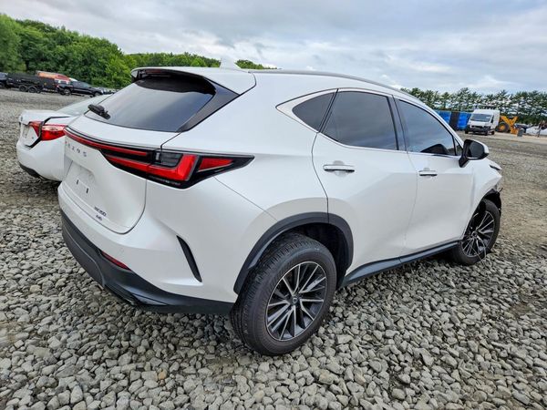 2025 LEXUS NX 350 350 Base