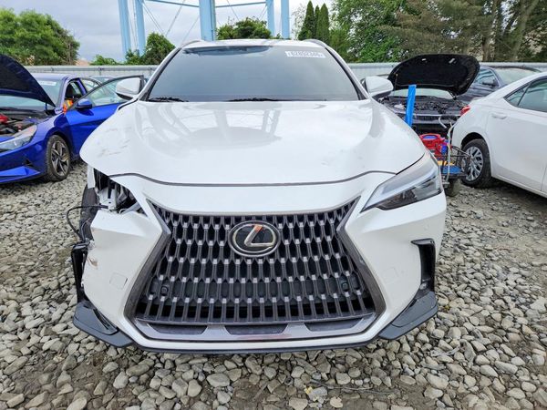 2025 LEXUS NX 350 350 Base