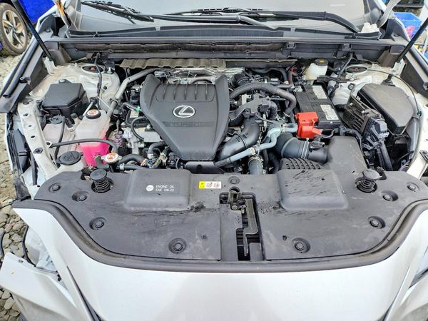 2025 LEXUS NX 350 350 Base