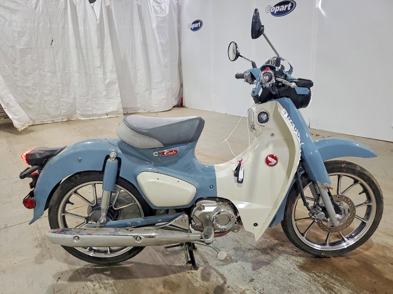 2024 HONDA CUB