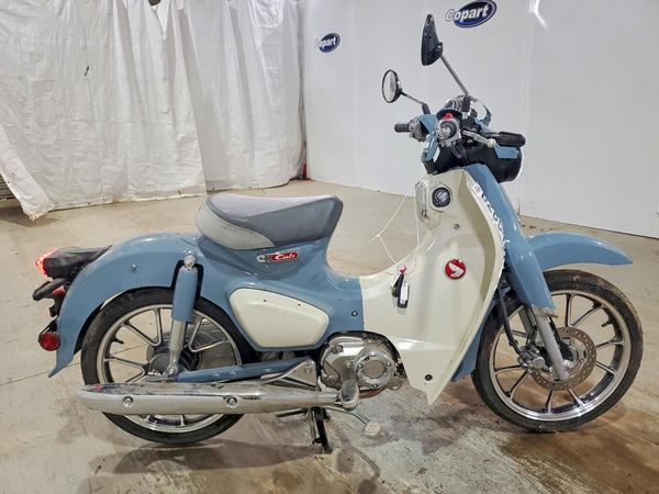 2024 HONDA CUB