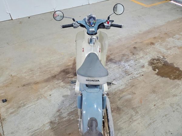 2024 HONDA CUB