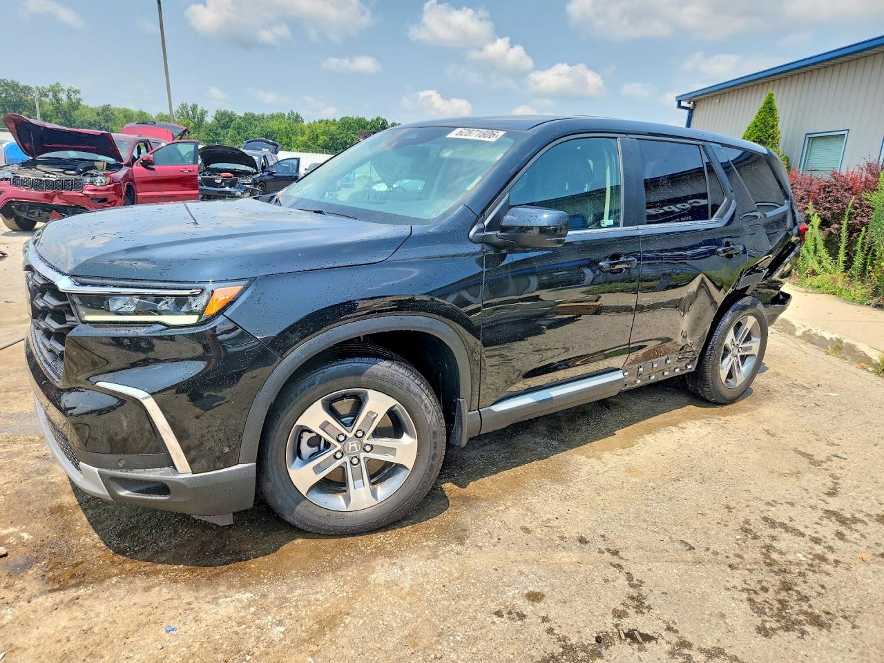 2025 HONDA PILOT EX-L, EX-L HPD