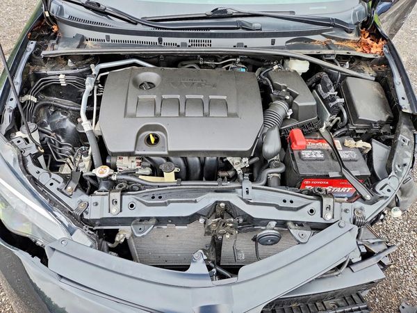 2019 TOYOTA COROLLA