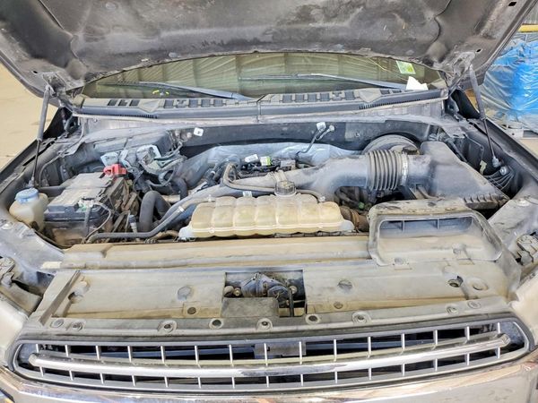 2019 FORD F150