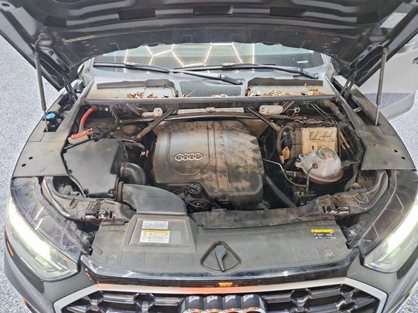 2024 AUDI Q5