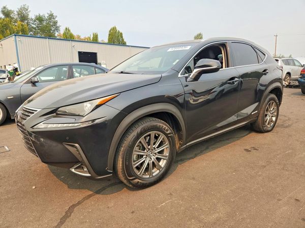 2019 LEXUS NX