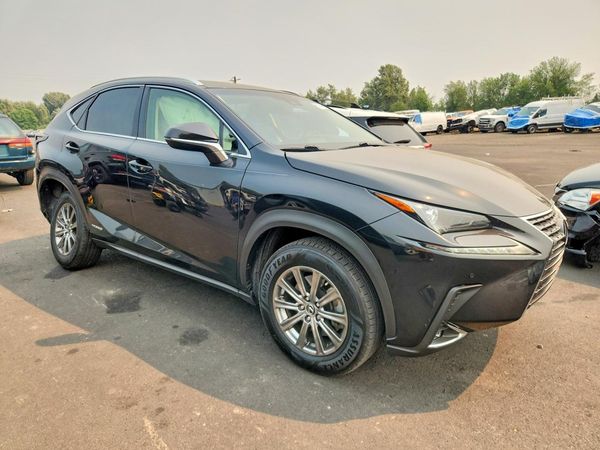 2019 LEXUS NX