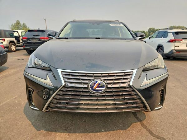 2019 LEXUS NX