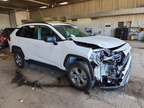 2024 TOYOTA RAV4 LE