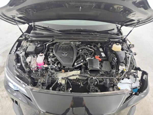 2025 LEXUS RX 350
