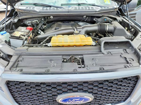 2019 FORD F150