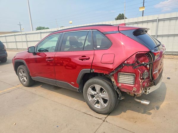 2024 TOYOTA RAV4 XLE