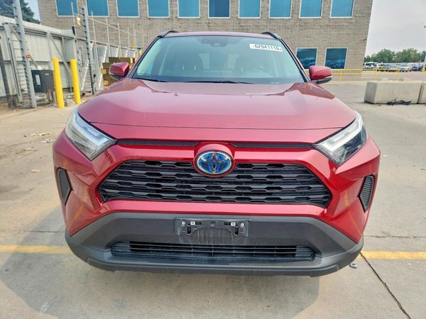 2024 TOYOTA RAV4 XLE