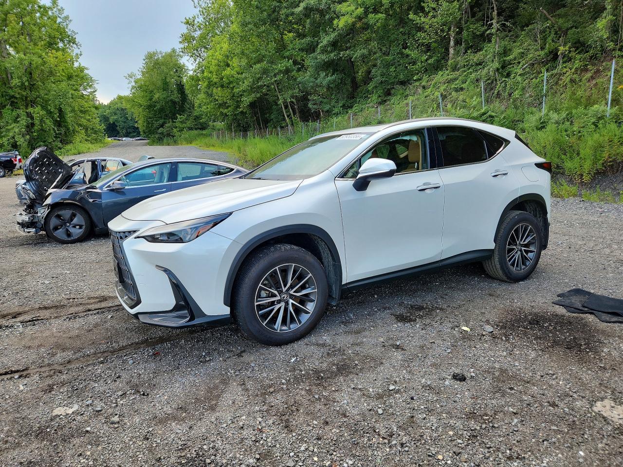 2024 LEXUS NX 350 350 Base