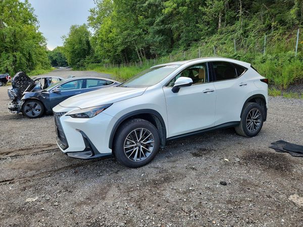2024 LEXUS NX 350 350 Base