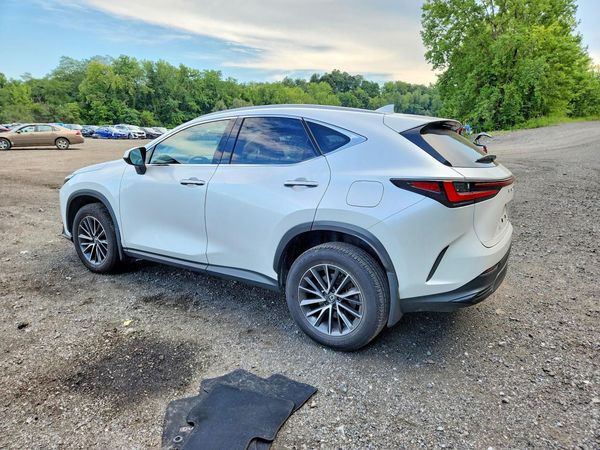 2024 LEXUS NX 350 350 Base