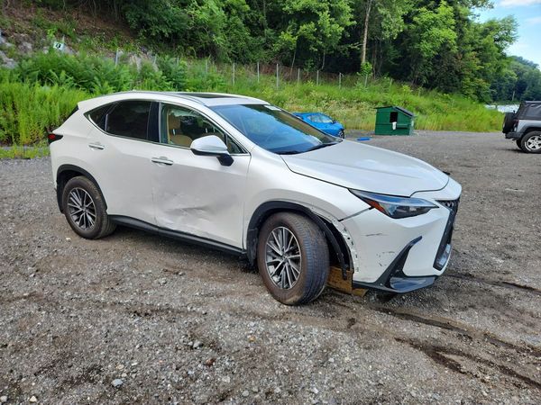 2024 LEXUS NX 350 350 Base