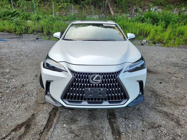 2024 LEXUS NX 350 350 Base