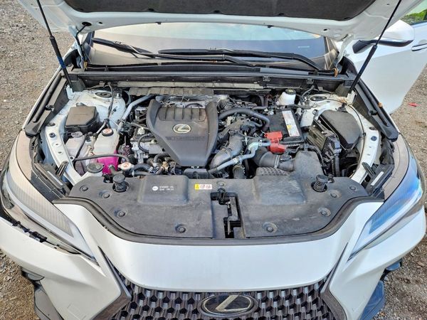 2024 LEXUS NX 350 350 Base