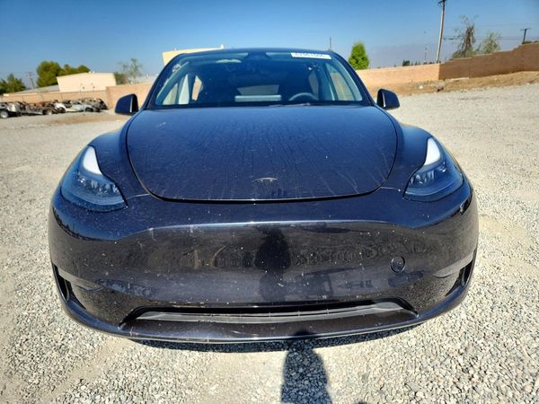 2024 TESLA MODEL Y — DIRF