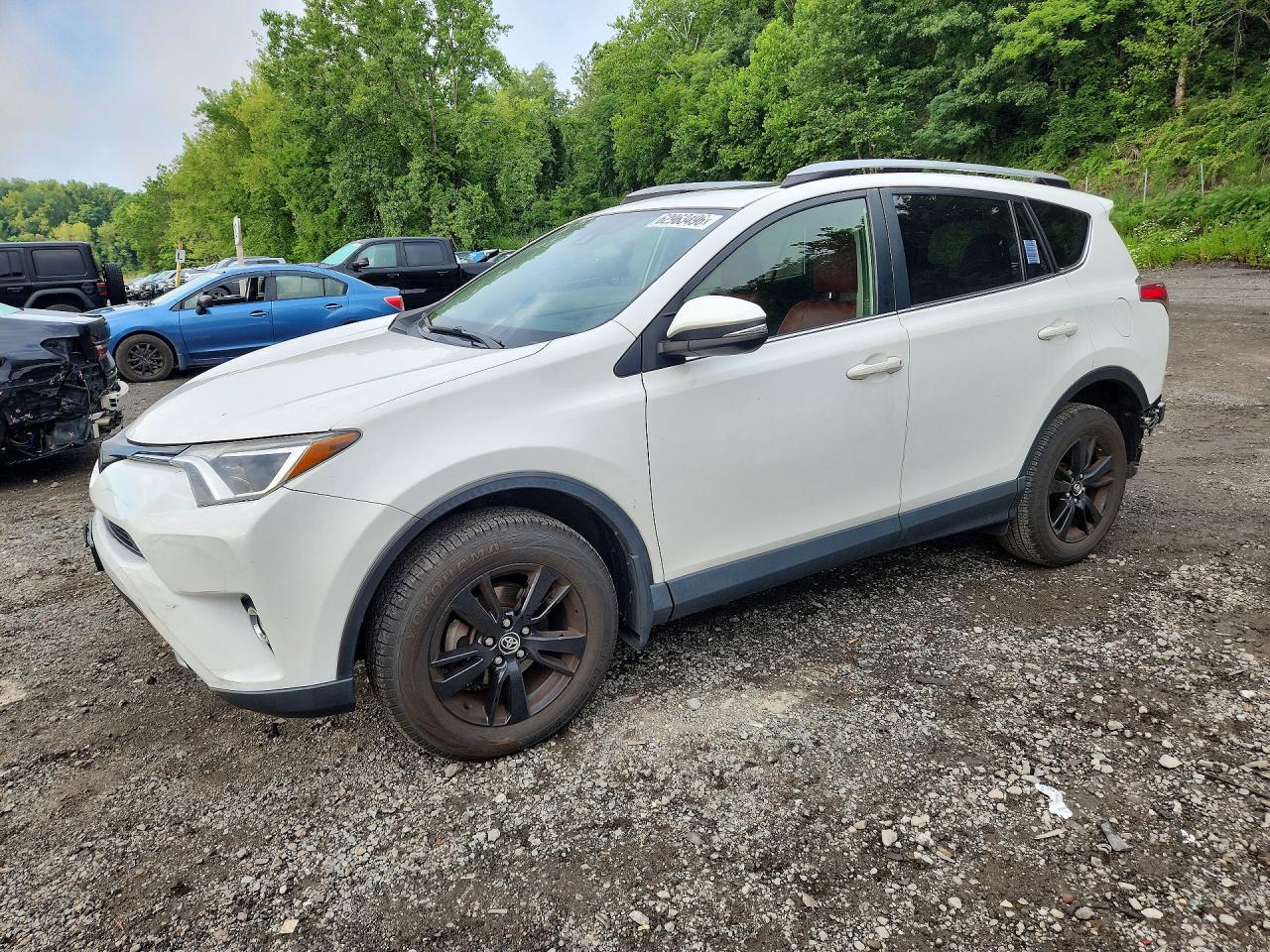 2018 TOYOTA RAV4 Adventure/XLE