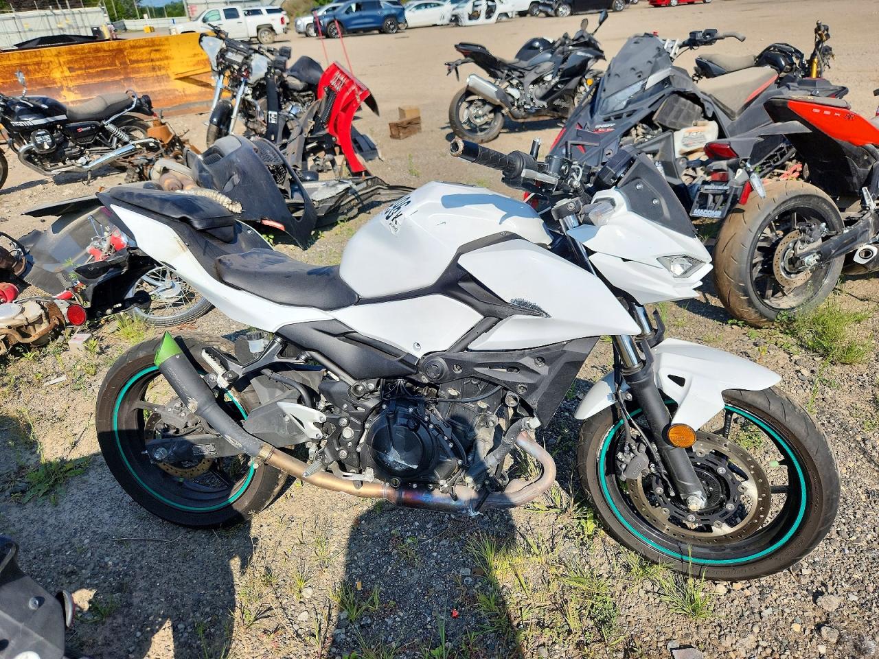 2024 KAWASAKI ER500 — RSDT