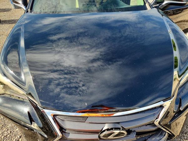 2015 LEXUS NX
