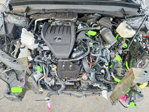 2026 LEXUS TX 500H