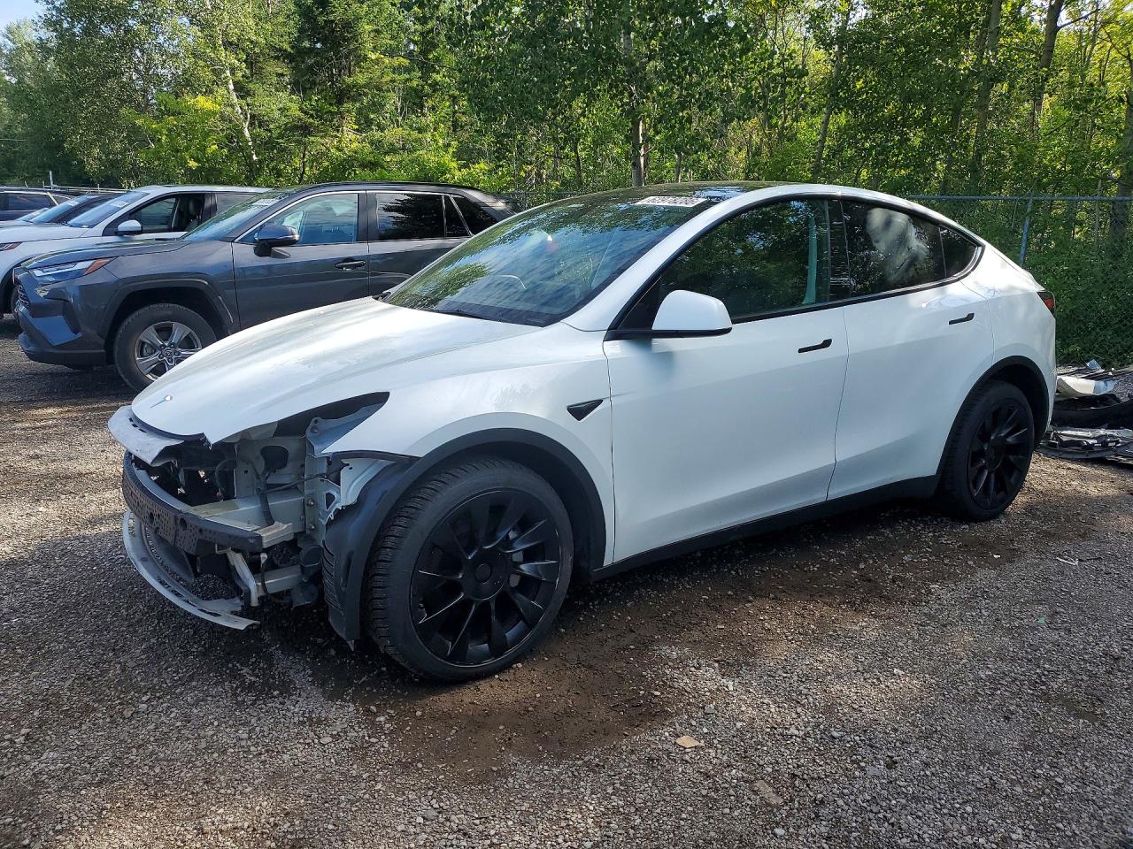 2021 TESLA MODEL Y