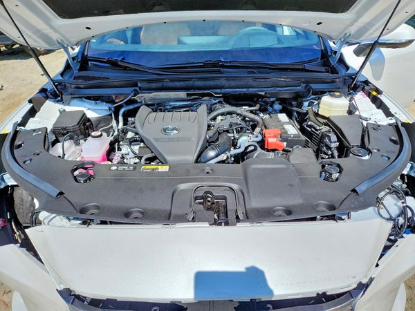 2026 LEXUS RX 350