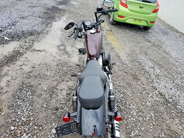 2021 HARLEY-DAVIDSON SPRTSTR120