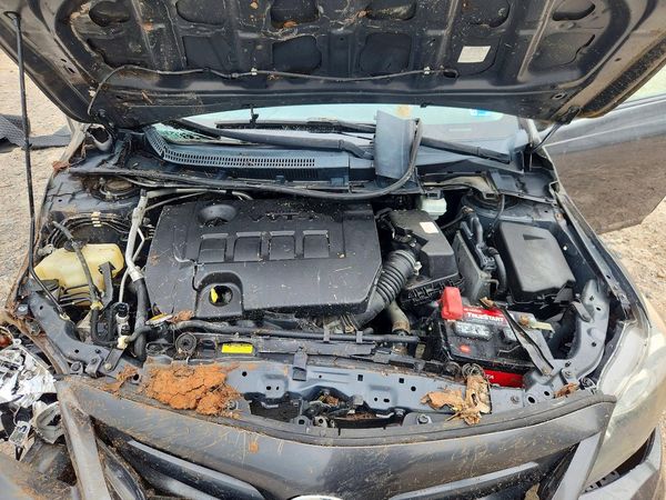 2013 TOYOTA COROLLA — Engine bay