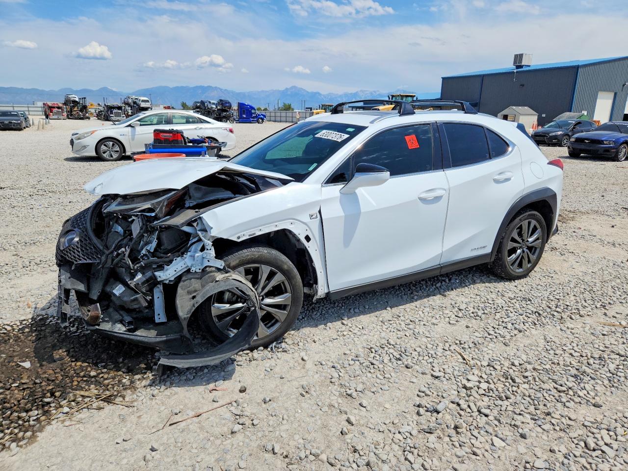 2019 LEXUS UX