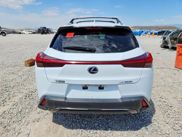 2019 LEXUS UX